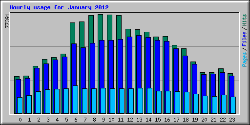 Hourly usage for January 2012